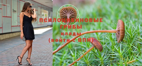 метадон Алексеевка