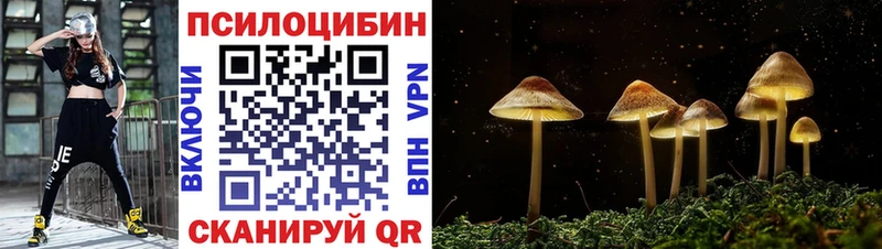 мега ссылка  Покров  Галлюциногенные грибы MAGIC MUSHROOMS 